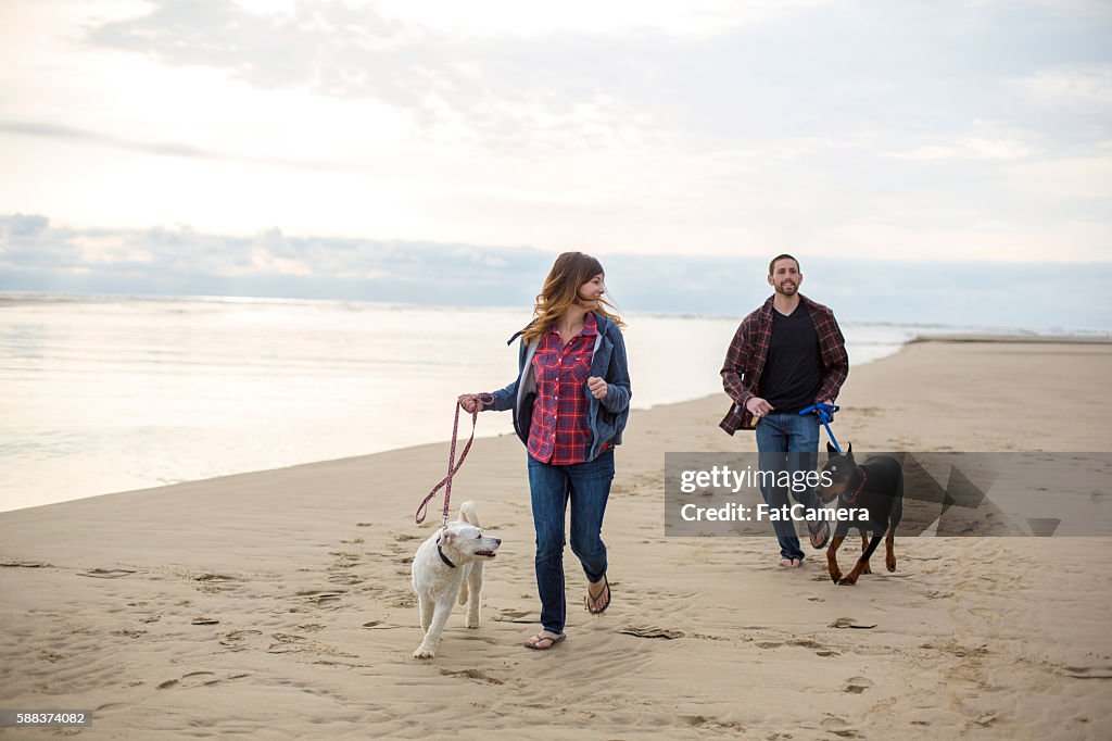 Beautiful couple running with their dogs on the beach