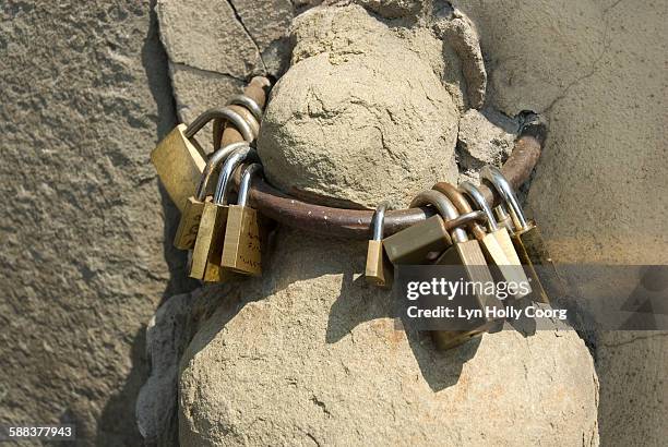 padlocks on metal ring on ponte vecchio - lyn holly coorg stockfoto's en -beelden