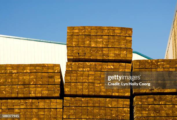 stacked timber in yard - lyn holly coorg fotografías e imágenes de stock