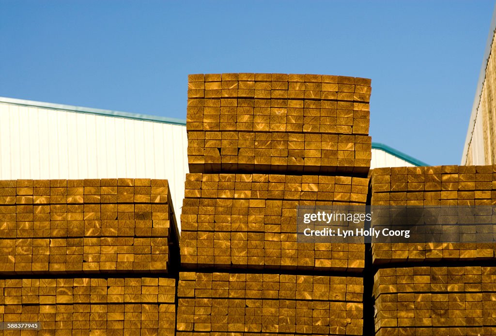 Stacked timber in yard