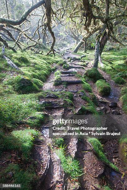 plaine des tamarins, mafate, reunion island - brajeul sylvain fotografías e imágenes de stock