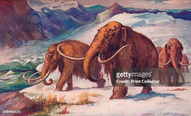 The early Ice Age, when mammoths roamed the Earth and Man was arising, 1907. From Harmsworth History of the World, Volume 1, by Arthur Mee, J.A....