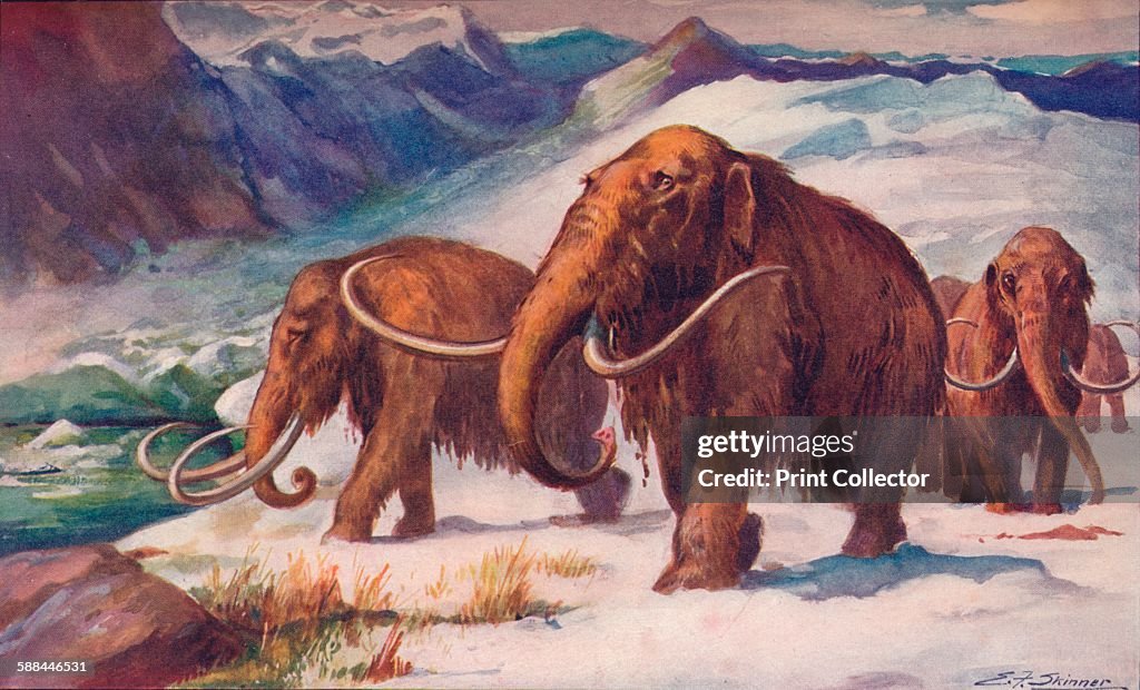 The early Ice Age