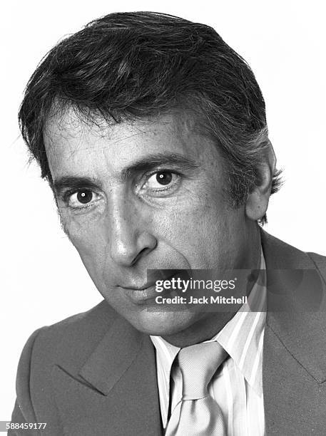 Literary journalist and author Gay Talese photographed in November 1976.