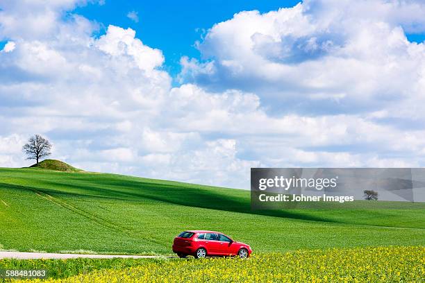 red car on country road - car nature ストックフォトと画像