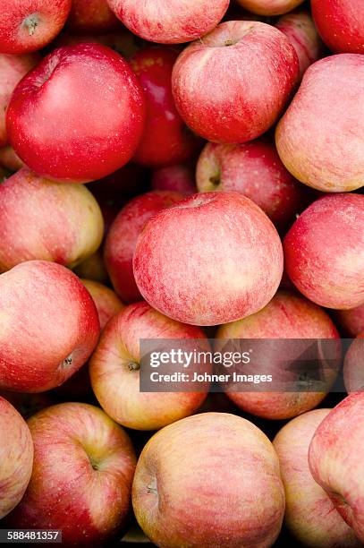 Red Apples High-Res Stock Photo
