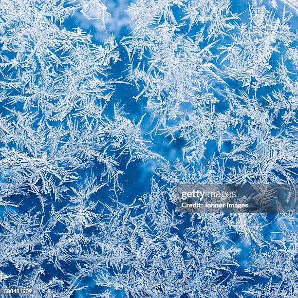 ice crystals on window - ice crystal stock pictures, royalty-free photos & images