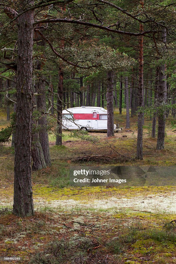 Caravan parked in forest