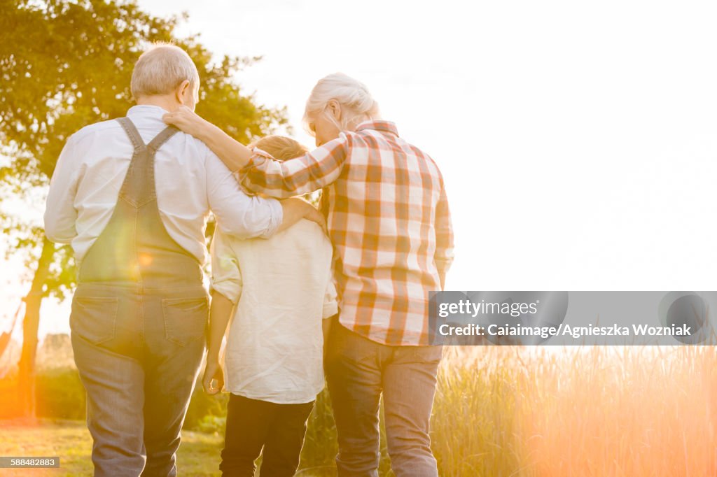 Affectionate grandparents and grandson walking along sunny rural wheat field