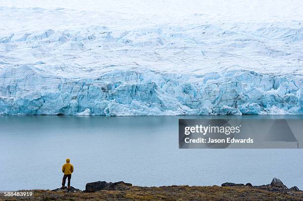 a hiker dwarfed by the fracture zone of a glacier on the greenland ice sheet. - ice sheet stock pictures, royalty-free photos & images