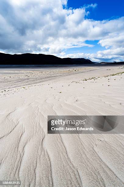 wind generated linear patterns on an arctic desert sand dune. - deserto ártico - fotografias e filmes do acervo