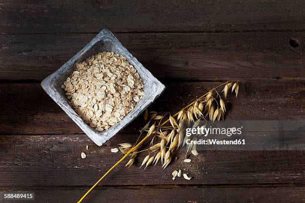 bowl with oat flakes and ripe spike of oat on wood - avena stock pictures, royalty-free photos & images