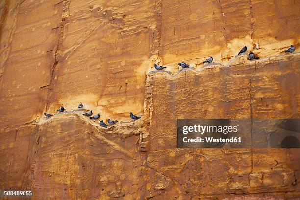 Pigeon Stone Rocks Pigeon Rock Photos and Premium High Res Pictures - Getty Images