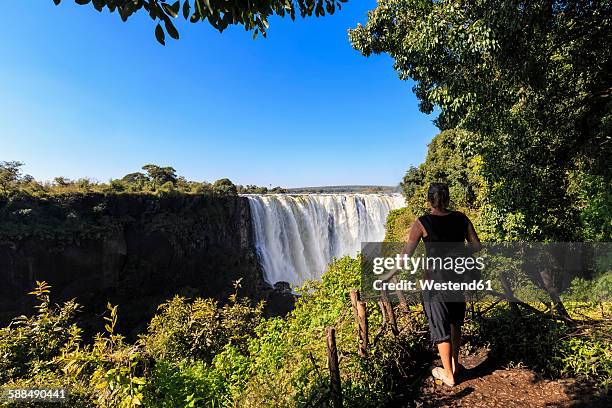 southern africa, zimbabwe, tourist looking at victoria falls - victoria falls stock pictures, royalty-free photos & images
