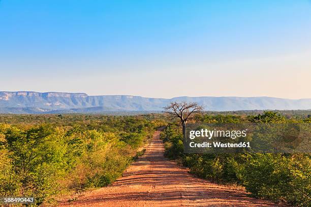 southern africa, zimbabwe, dirt track through landscape - zimbabue fotografías e imágenes de stock