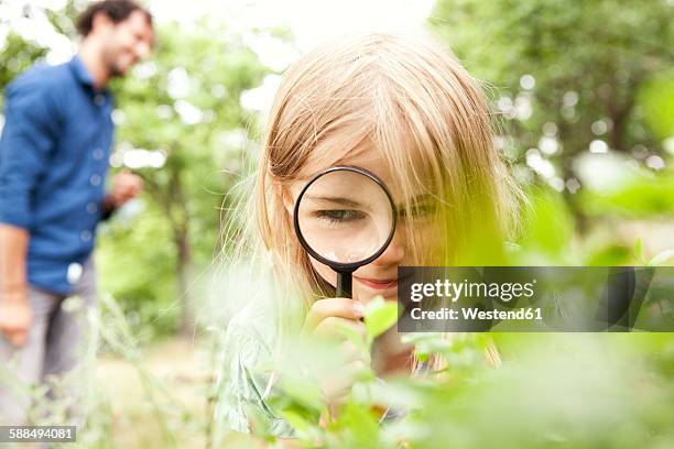 girl in the nature looking through magnifying glass - magnifying glass nature stock-fotos und bilder