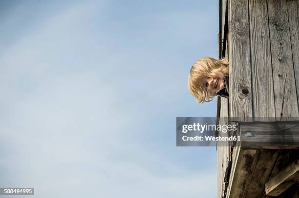 boy playing in a tree house - tree house stock pictures, royalty-free photos & images