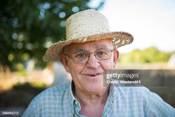 portrait of smiling farmer with straw hat - strohoed stockfoto's en -beelden