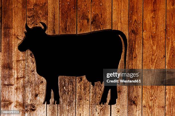 Cow Fin Otterfing Photos and Premium High Res Pictures - Getty Images