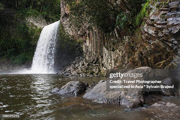 bassin la paix, reunion island - brajeul sylvain stock-fotos und bilder