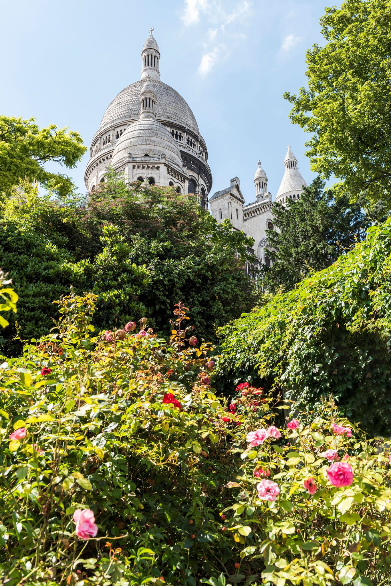 mermoz sacre coeur