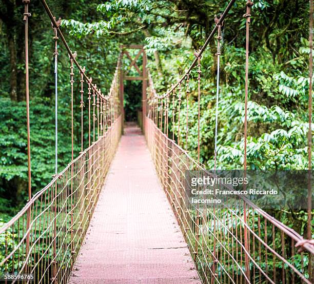 monteverde, hanging bridge in costa rica - iacomino costa rica stock pictures, royalty-free photos & images