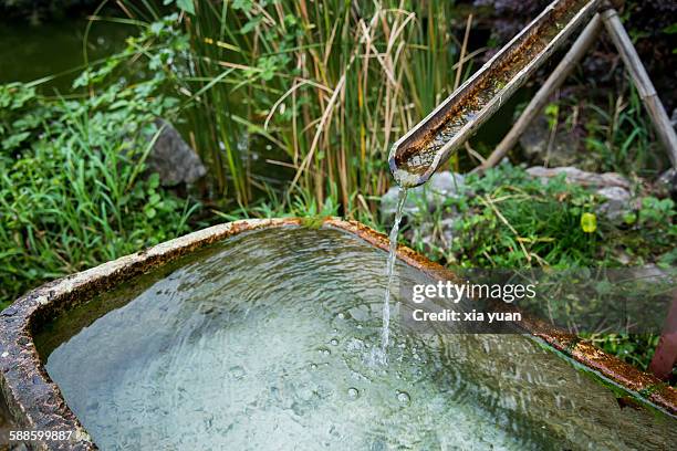 Spring Water Running Spring Water Running Photos and Premium High Res Pictures - Getty Images