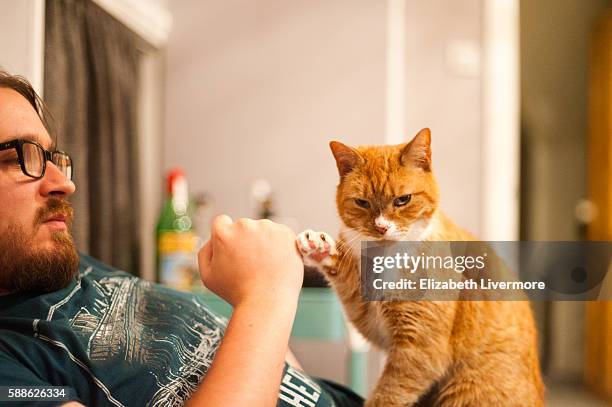 man and cat do a fist bump - animals and people imagens e fotografias de stock