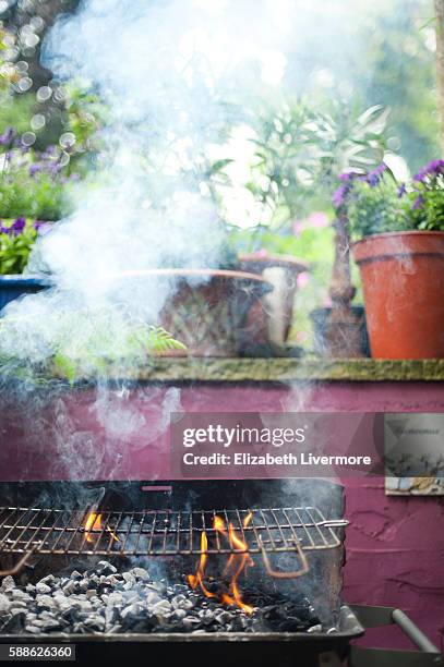 barbeque in garden - bbq smoker stock pictures, royalty-free photos & images