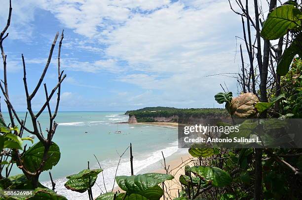 praia da pipa - pipa stock pictures, royalty-free photos & images