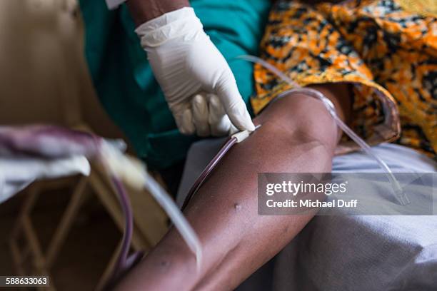 blood transfusion for ebola - ebola stock pictures, royalty-free photos & images