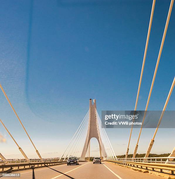 motorway suspension bridge - lagos skyline 個照片及圖片檔