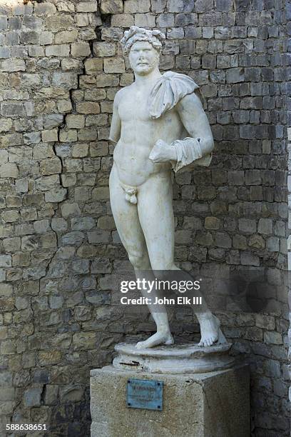 vaison le romaine, laureled apollo statue - greek god apollo photos et images de collection