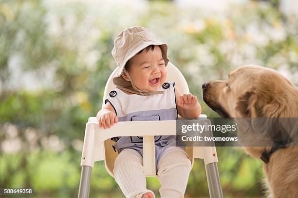 asian chinese toddler with dog. - chubby asian girl stock-fotos und bilder