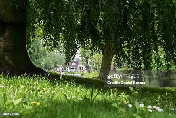 noorderplantsoen park in groningen - groningen city stock-fotos und bilder