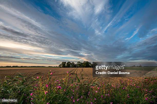 dutch farm seen from a old dike - groningen province stock pictures, royalty-free photos & images