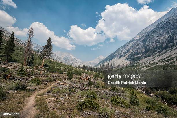 sierra nevada mountains, usa - high sierra trail stock pictures, royalty-free photos & images