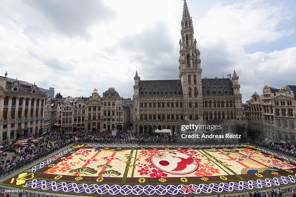 Flower Carpet 2016 In Brussels