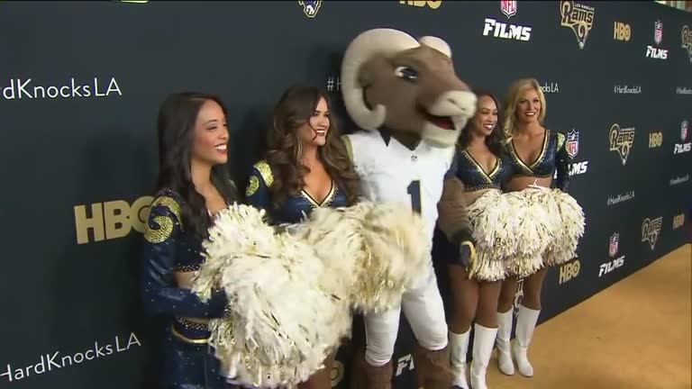 Id Center Rasm 24 Los Angeles Rams Center Stock Videos, Footage, & 4K Video Clips ...