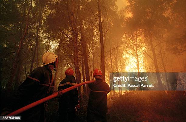 Firefighters Struggle to Tame Forest Fire