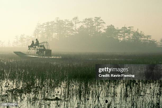 airboat cruising swampy everglades - parque nacional everglades fotografías e imágenes de stock