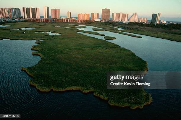 shoreline buildings seen from wetlands - ocean city maryland stock-fotos und bilder