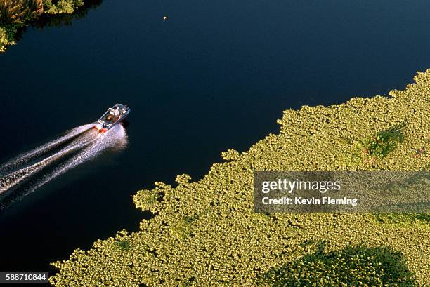 overview of boat and vegetation on lake - lake okeechobee stock pictures, royalty-free photos & images