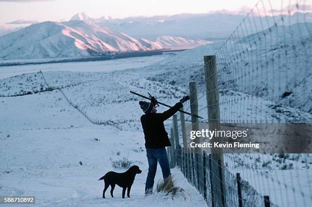 Fixing Ranch Farmer Fixing Fence Photos and Premium High Res Pictures - Getty Images