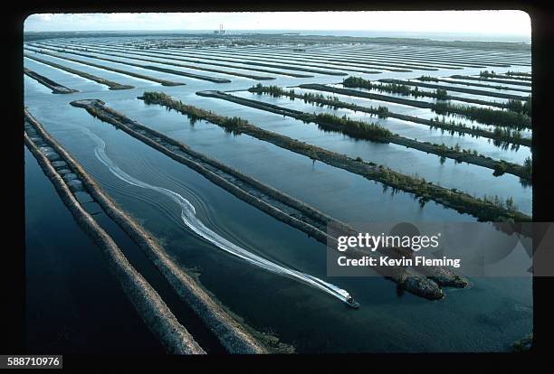 airboat in a cooling pond - airboat stock pictures, royalty-free photos & images