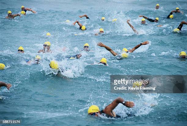triathletes swimming - triathlon stock-fotos und bilder