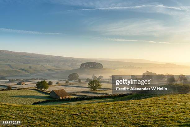 wensleydale - rural england stock pictures, royalty-free photos & images