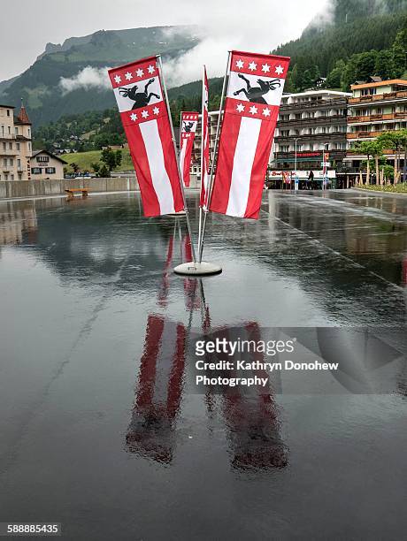 flags grindelwald-switzerland - swiss ibex stockfoto's en -beelden