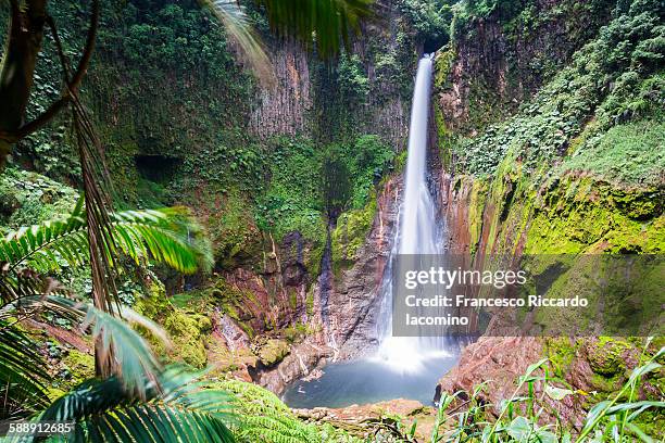 costa rica, catarata del toro waterfall - iacomino costa rica stock pictures, royalty-free photos & images