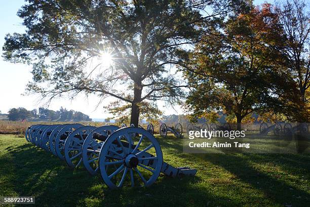 cannon arrangement at valley forge - valley forge stockfoto's en -beelden